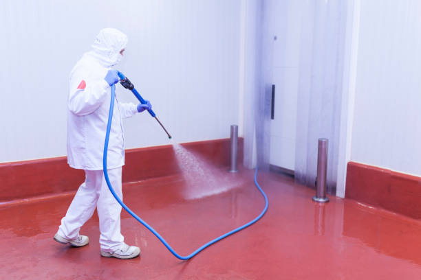 Best Factory Floor Cleaning  in Connerton, FL